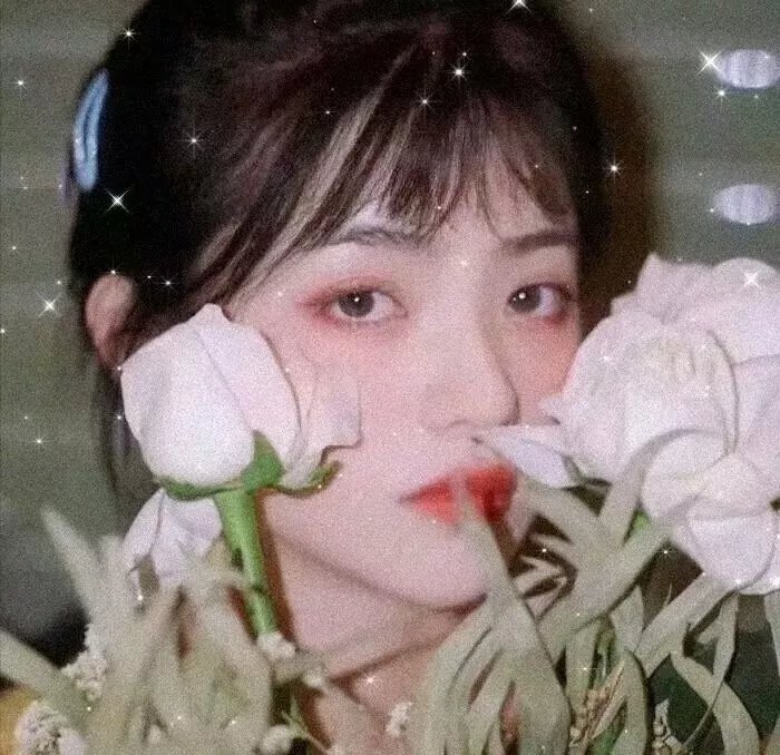 尘埃的女儿